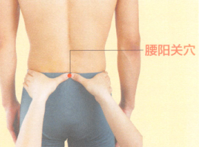 腰间盘突出症艾灸哪个部位图解