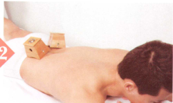 遗精艾灸哪个部位图解