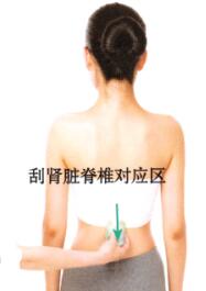 泌尿系感染刮痧部位图解