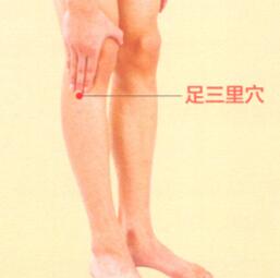 秋季艾灸艾灸哪个部位图解