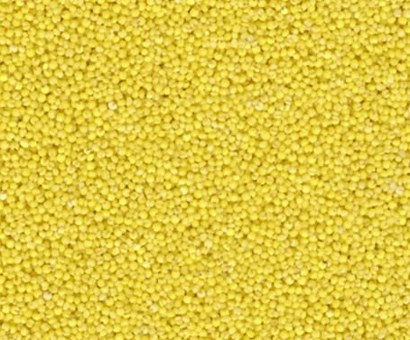 可见经络现象的研究