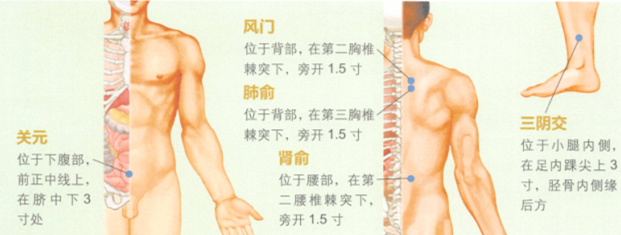 青壮年保健艾灸哪个部位图解