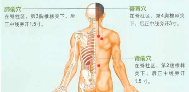 肺心病艾灸哪个部位图解