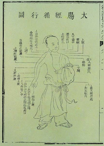 《医宗金鉴》十二脉图