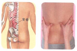 不育症按摩部位图解