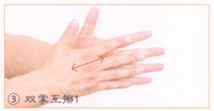 防衰健脑按摩部位图解