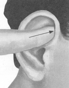 美容美体按摩部位图解