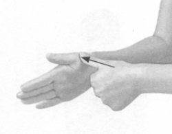 鼻炎按摩部位图解