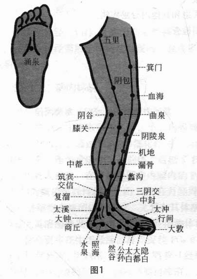 乳腺增生磁圆梅针疗法