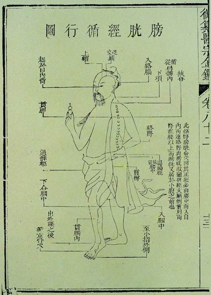 《医宗金鉴》十二脉图