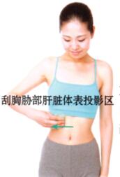 高脂血症刮痧部位图解