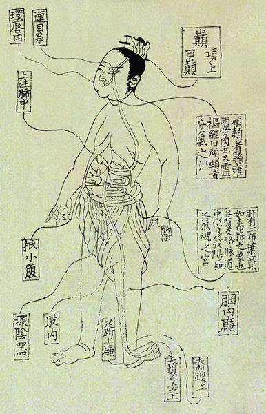 《活人书》经络图