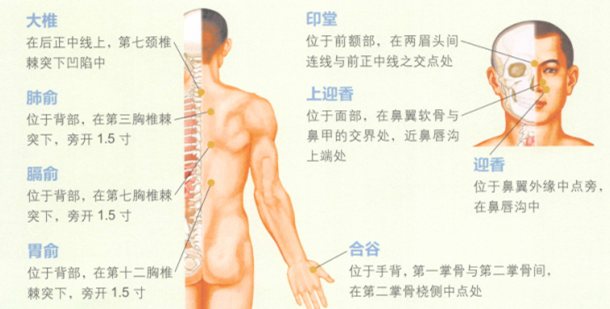 酒渣鼻艾灸哪个部位图解