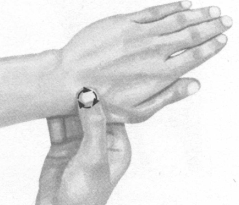 前列腺疾病按摩部位图解