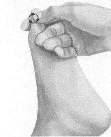 美容美体按摩部位图解