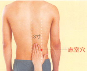 遗精艾灸哪个部位图解