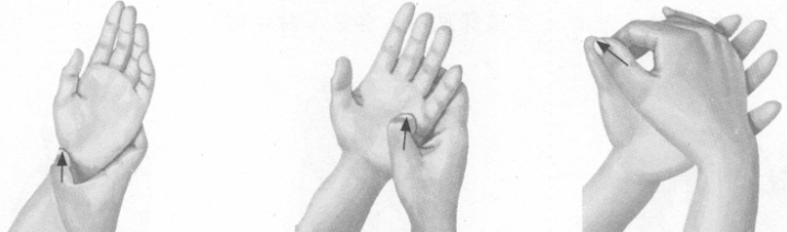 阳痿按摩部位图解