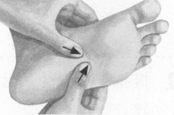 胃肠炎按摩部位图解