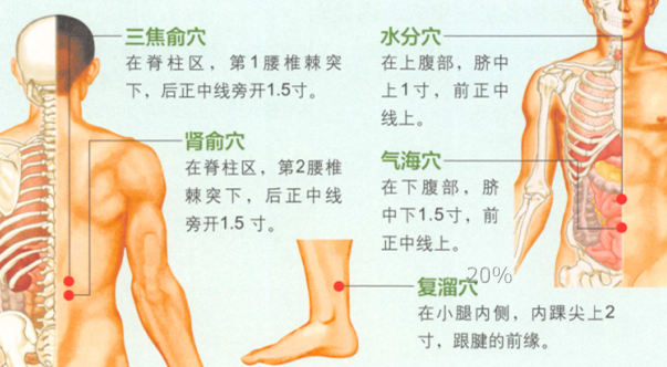 慢性肾炎艾灸哪个部位图解