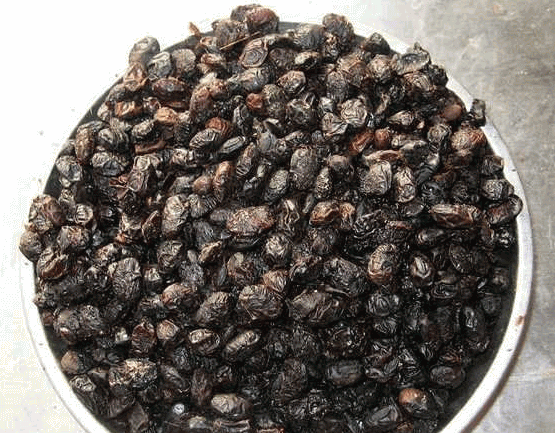 可见经络现象的研究