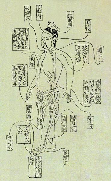 《活人书》经络图