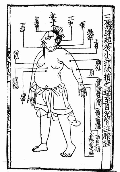 《子午流注针经》十二脉图