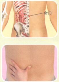 遗精按摩部位图解