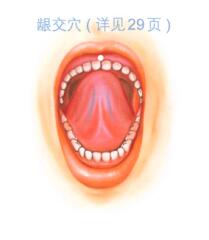 口臭按摩部位图解