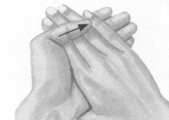 前列腺疾病按摩部位图解