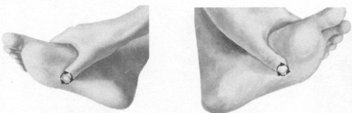 性冷淡按摩部位图解