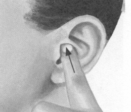 胃肠炎按摩部位图解