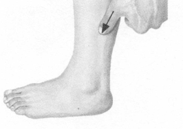 前列腺疾病按摩部位图解