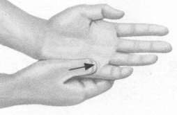 前列腺疾病按摩部位图解