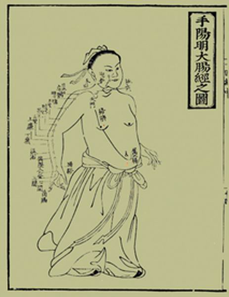 《十四经发挥》经穴图