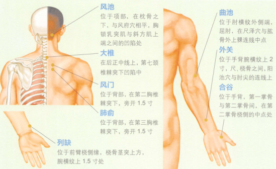 感冒艾灸哪个部位图解