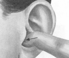 更年期综合征按摩部位图解