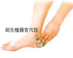 遗精刮痧部位图解