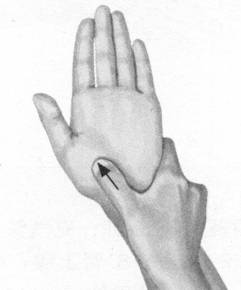 鼻炎按摩部位图解