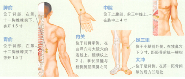 妊娠呕吐艾灸哪个部位图解