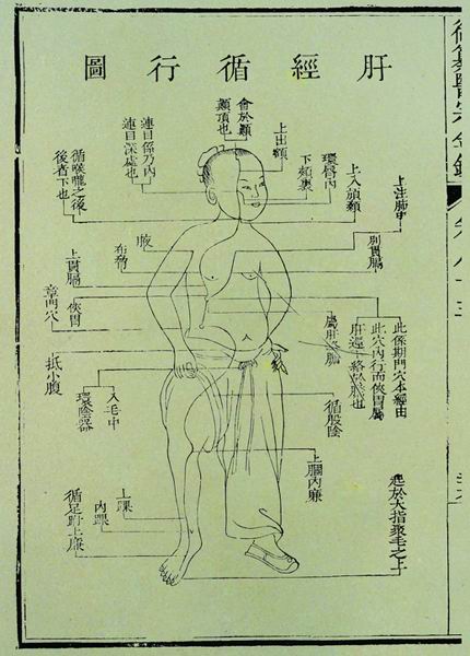 《医宗金鉴》十二脉图