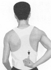 胃痛按摩部位图解