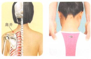 健美肩部按摩部位图解