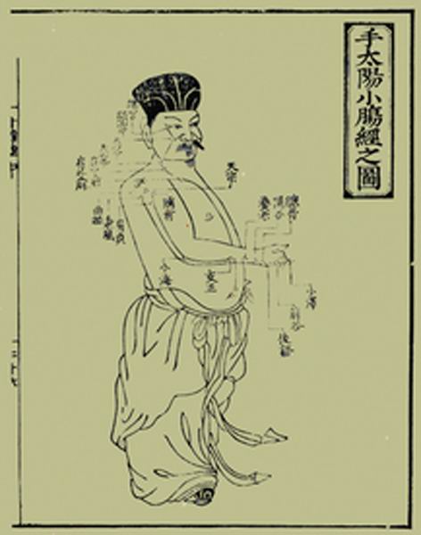 《十四经发挥》经穴图