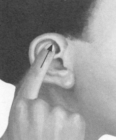 美容美体按摩部位图解