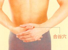 春季艾灸艾灸哪个部位图解