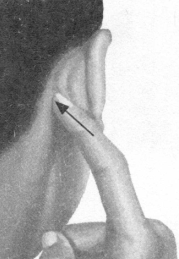 糖尿病按摩部位图解