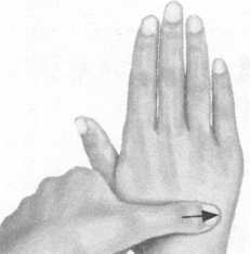 腰椎间盘突出症按摩部位图解