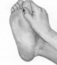 耳鸣-耳聋按摩部位图解