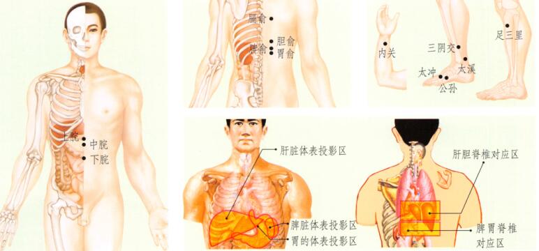 胃炎刮痧部位图解