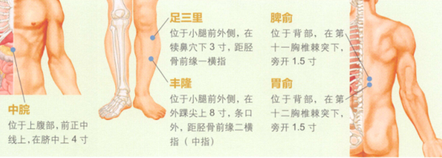 高血脂症艾灸哪个部位图解